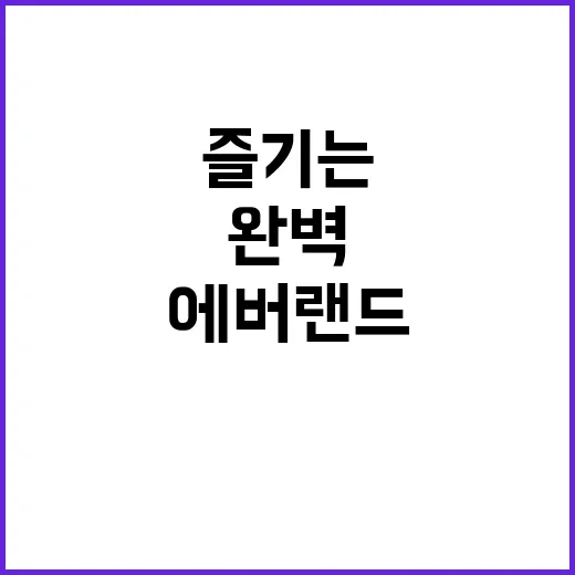 에버랜드를 완벽하게 즐기는 방법