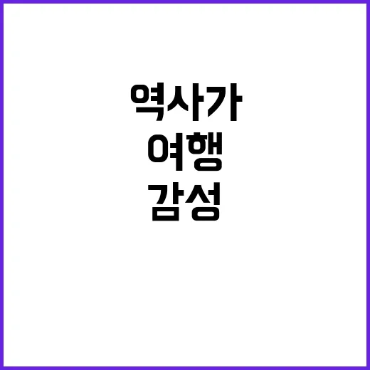 고대도를 탐험하는 …