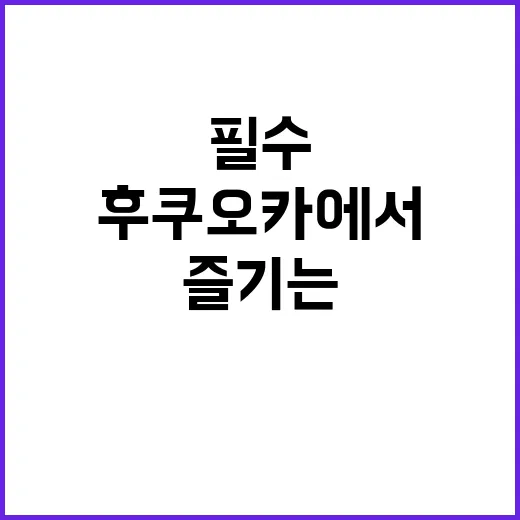 후쿠오카에서 쇼핑을 즐기는 방법: 필수 방문지와 팁