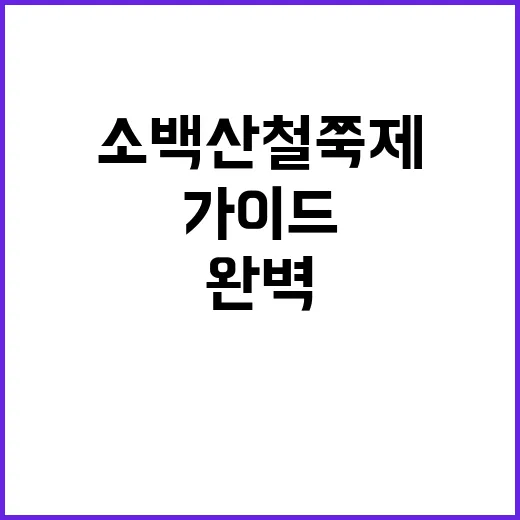 소백산 철쭉제를 즐…