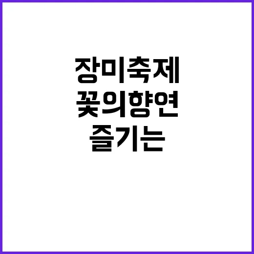 장미축제를 즐기는 방법: 꽃의 향연 속으로