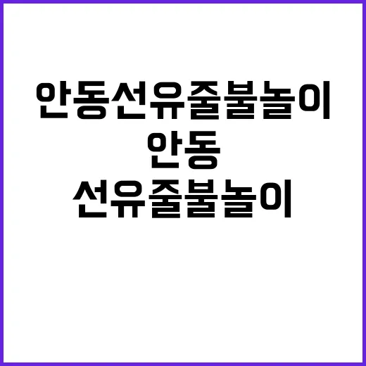 안동 선유줄불놀이 …