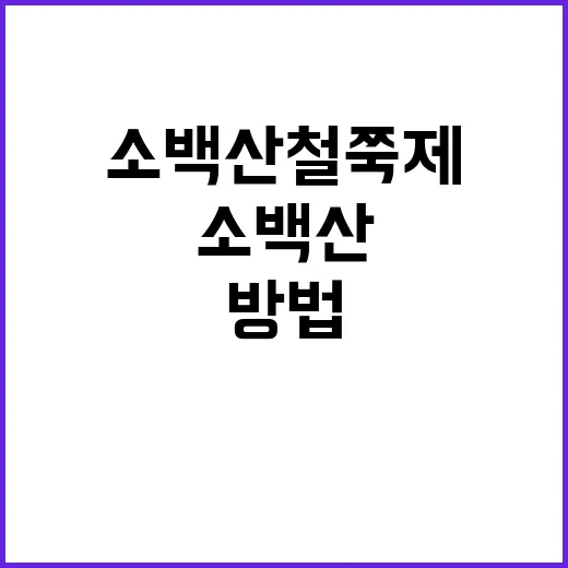 소백산 철쭉제를 만끽하는 방법