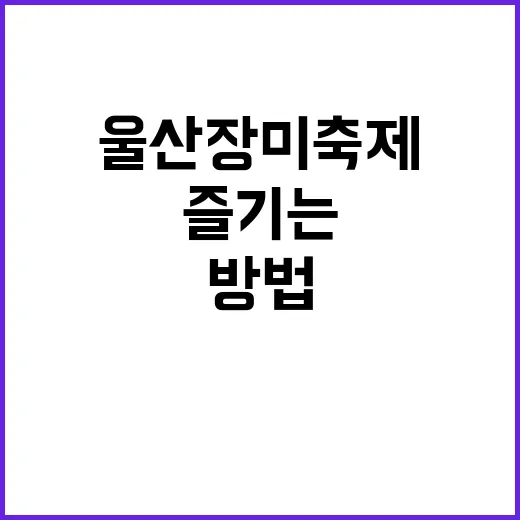 울산 장미축제를 즐기는 완벽한 방법