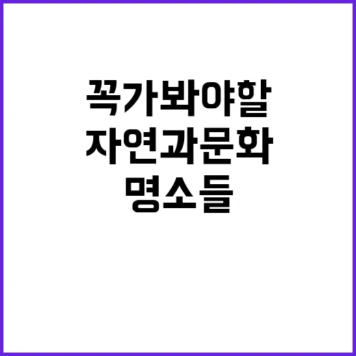 춘천에서 꼭 가봐야…