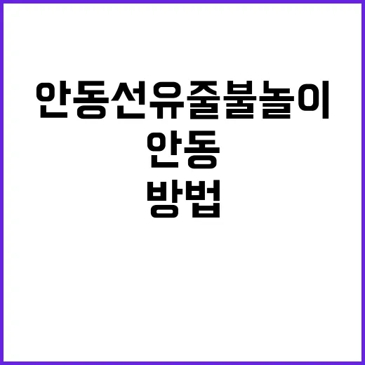 안동 선유줄불놀이를…