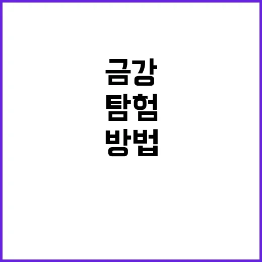 금강역사상을 탐험하…