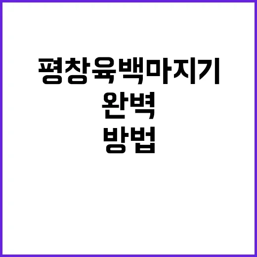 평창 육백마지기를 …
