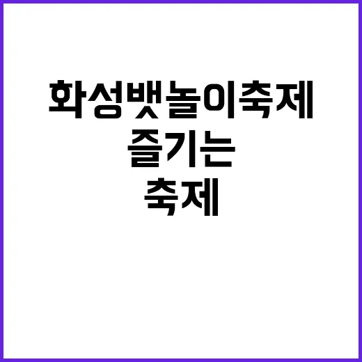 화성뱃놀이축제를 즐기는 방법