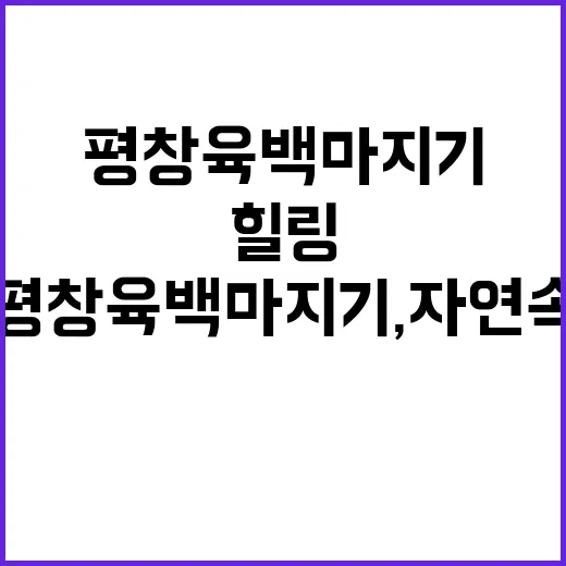 평창 육백마지기, 자연 속에서 힐링하는 방법
