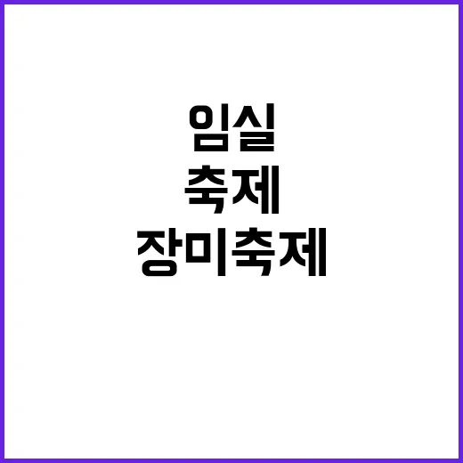 임실 장미축제에서 행복한 하루를 보내는 방법