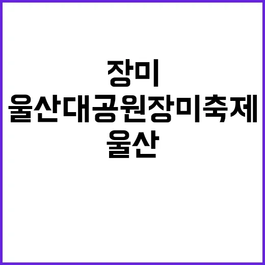 울산대공원 장미축제, 이렇게 즐기면 더 특별해요