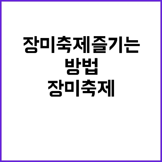 장미축제 즐기는 방법: 꽃과 함께하는 행복한 시간
