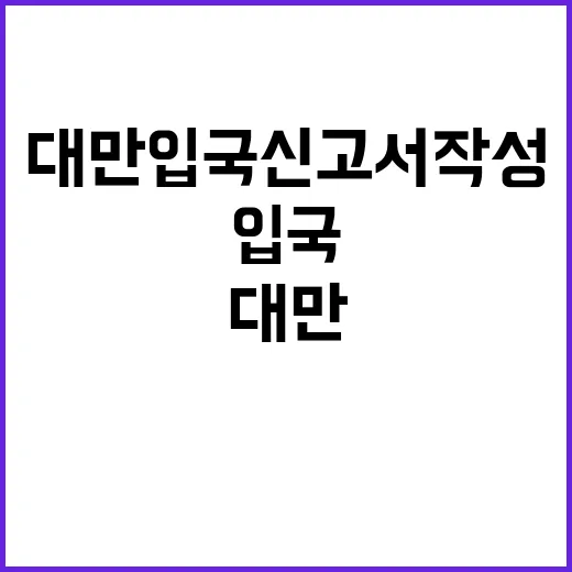 대만 입국신고서 작…