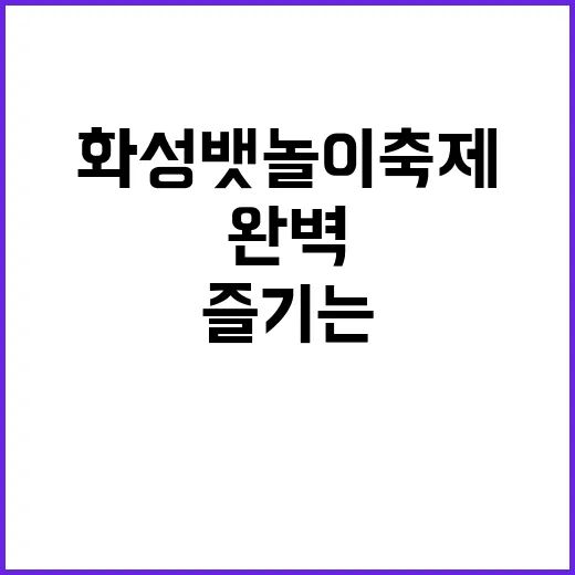 화성 뱃놀이 축제를 즐기는 완벽한 방법