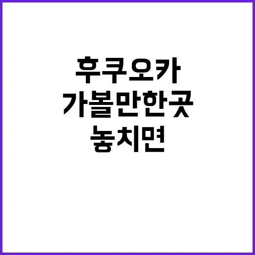 후쿠오카 여행: 놓…