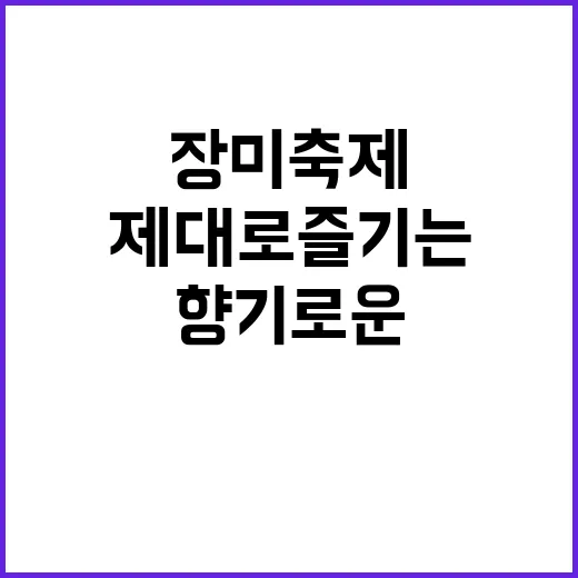 장미축제를 제대로 즐기는 방법: 향기로운 하루