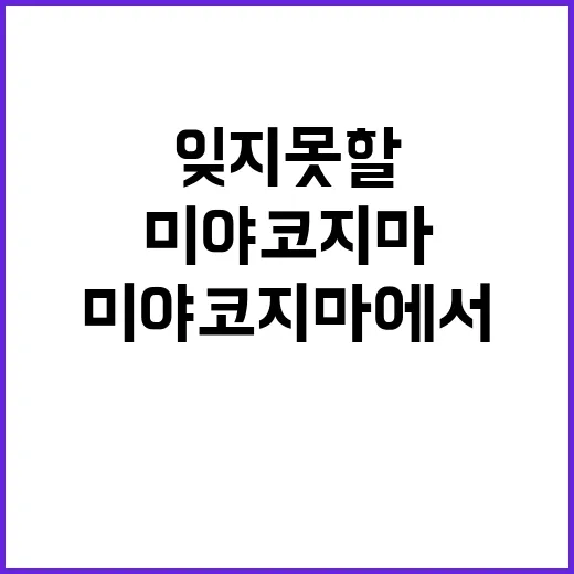 미야코지마에서 잊지…