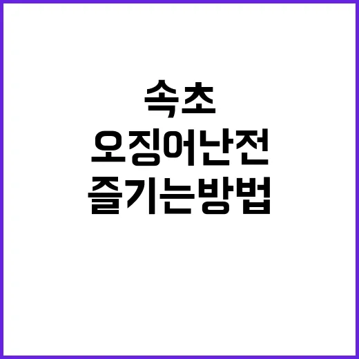 속초 오징어난전 제…