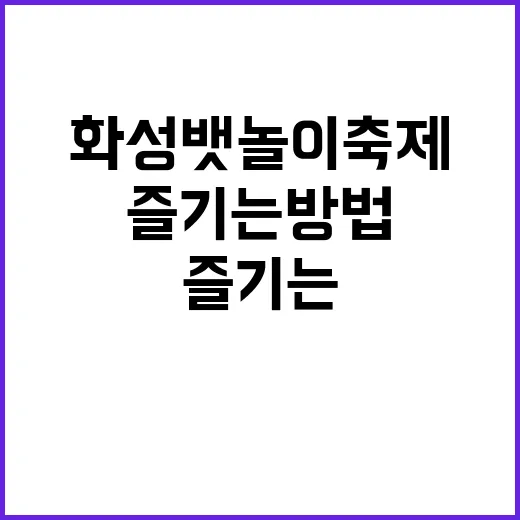 화성 뱃놀이 축제, 즐기는 방법부터 숨은 재미까지