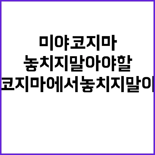 미야코지마에서 놓치지 말아야 할 경험들