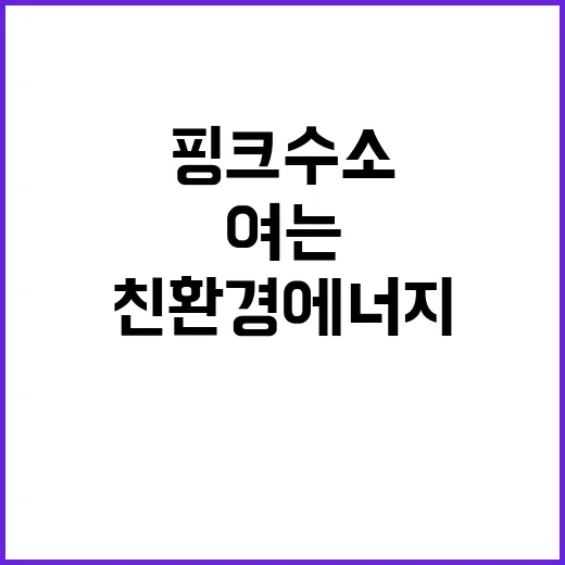 핑크수소: 친환경 …