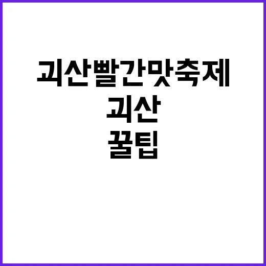 괴산 빨간맛축제, …