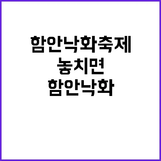 함안 낙화축제, 놓치면 아쉬운 특별한 경험