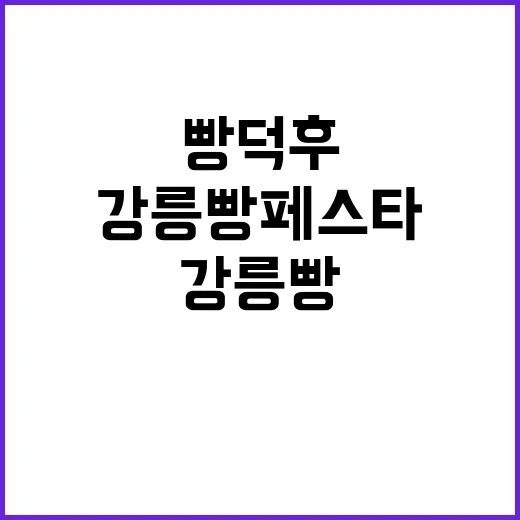 강릉 빵페스타, 빵덕후라면 놓치지 마세요!