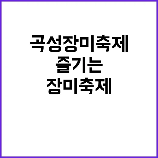 곡성 장미축제, 더…