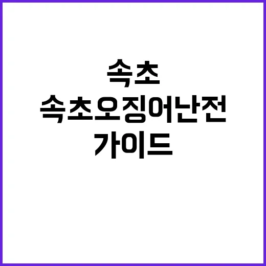 속초 오징어난전에서…