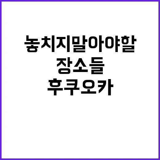 후쿠오카에서 쇼핑하는 방법: 놓치지 말아야 할 장소들
