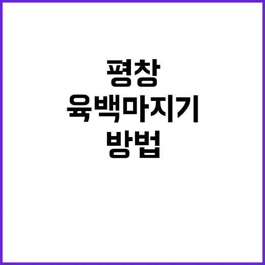 평창 육백마지기 제…