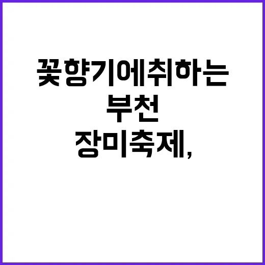 부천 장미축제, 꽃…