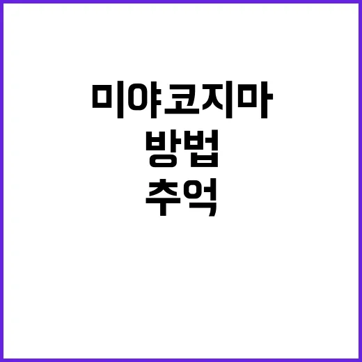 미야코지마에서 잊지 못할 추억 만드는 방법