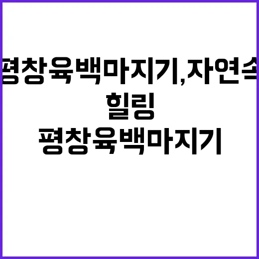 평창 육백마지기, 자연 속에서 진정한 힐링을 찾는 방법