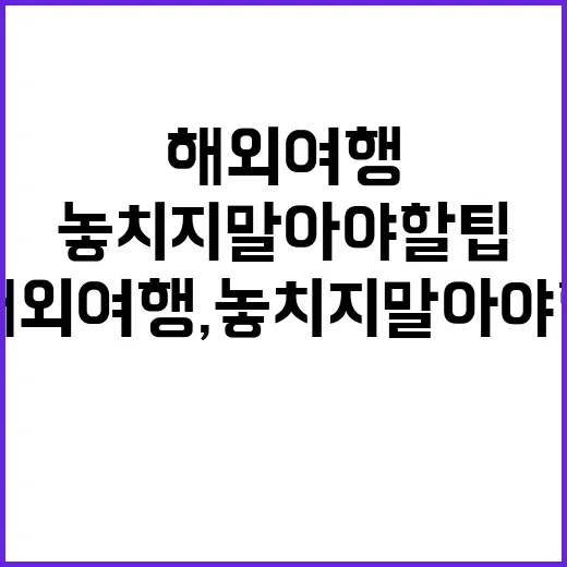 7월 해외여행, 놓…