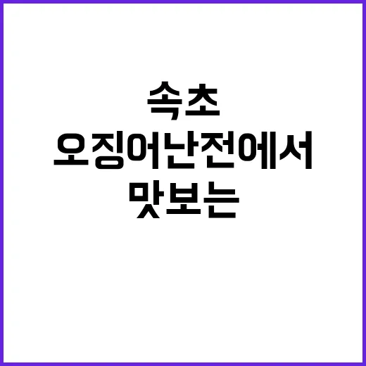 속초 오징어난전에서 진짜 맛보는 방법