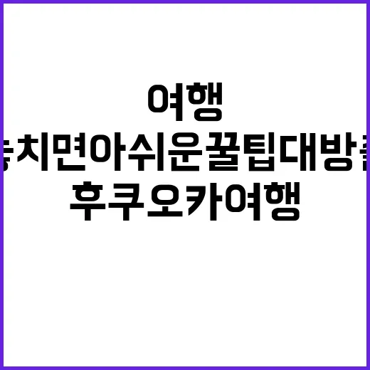 후쿠오카 여행: 놓…