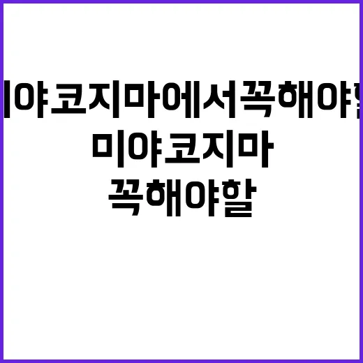 미야코지마에서 꼭 …