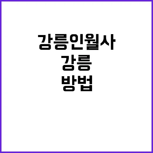강릉 인월사에서 마…