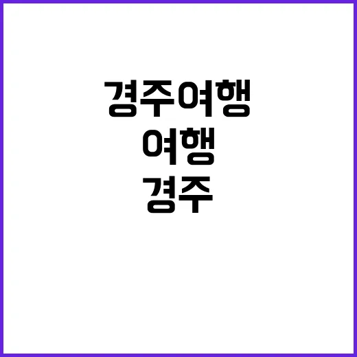 경주 여행, 이렇게…