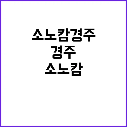 소노캄 경주에서 휴…