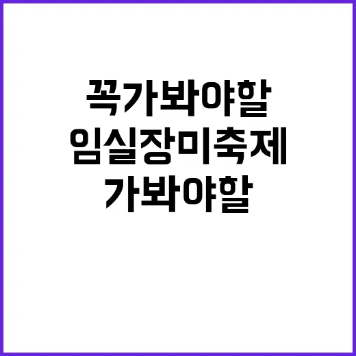 임실 장미축제 만끽…