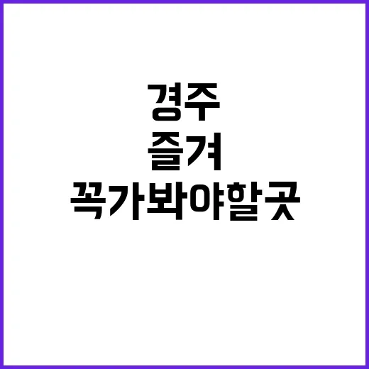 경주에서 꼭 가봐야…