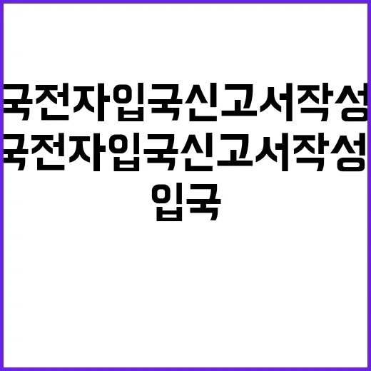 중국 전자입국신고서…
