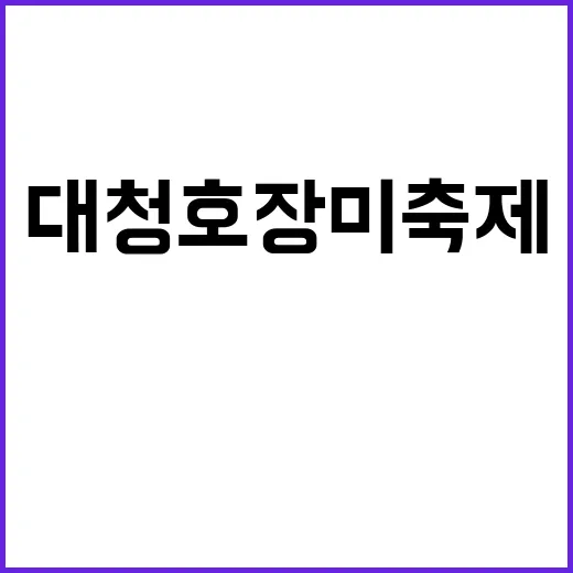 대청호 장미축제 즐기는 방법: 꼭 알아야 할 팁