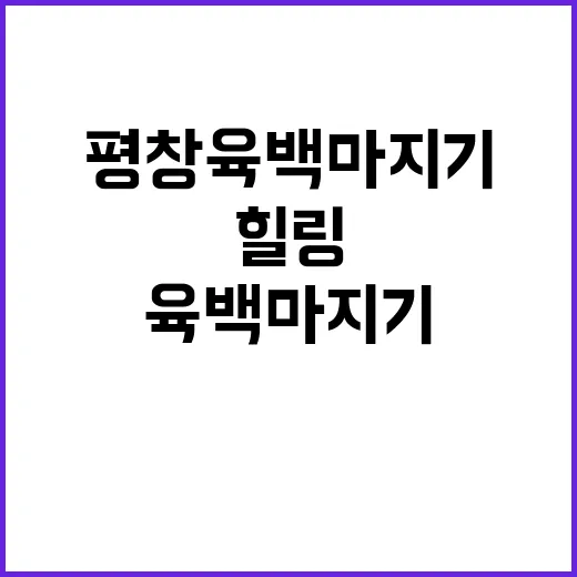 평창 육백마지기에서…