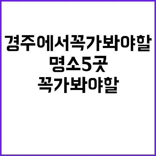 경주에서 꼭 가봐야…