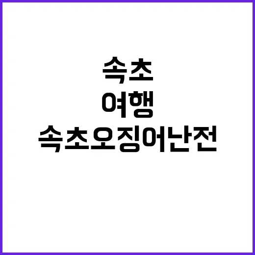 속초 오징어난전에서 즐기는 해산물 여행